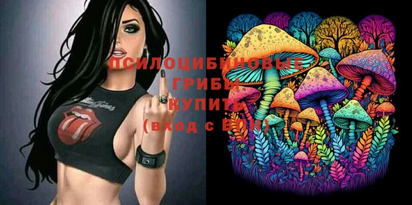 а пвп мука Санкт-Петербург
