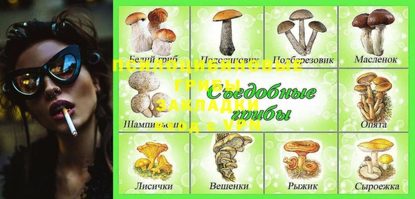 спайс Ессентукская