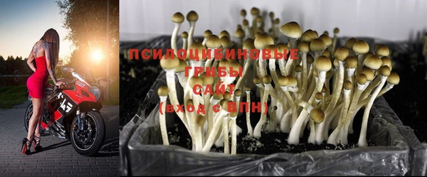 MDMA Premium VHQ Краснотурьинск